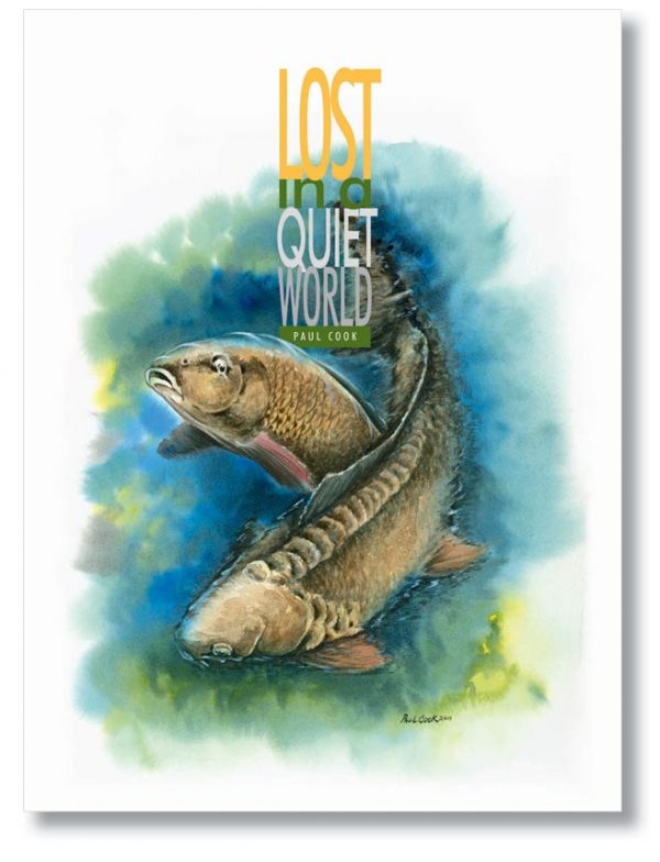 Lost in a Quiet World Hardback