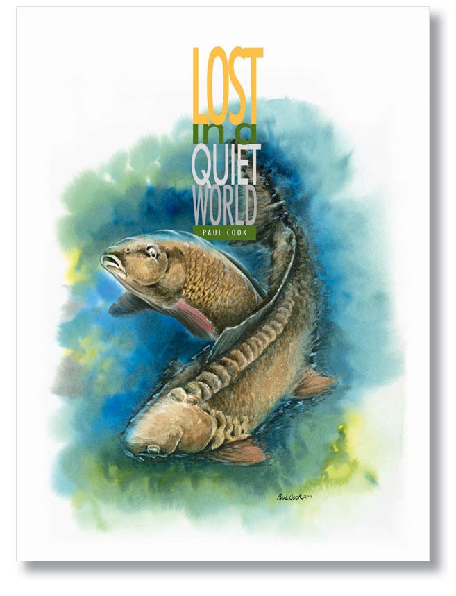 Lost in a Quiet World Hardback