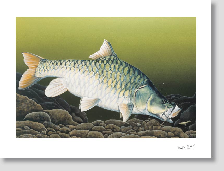 the-might-mahseer