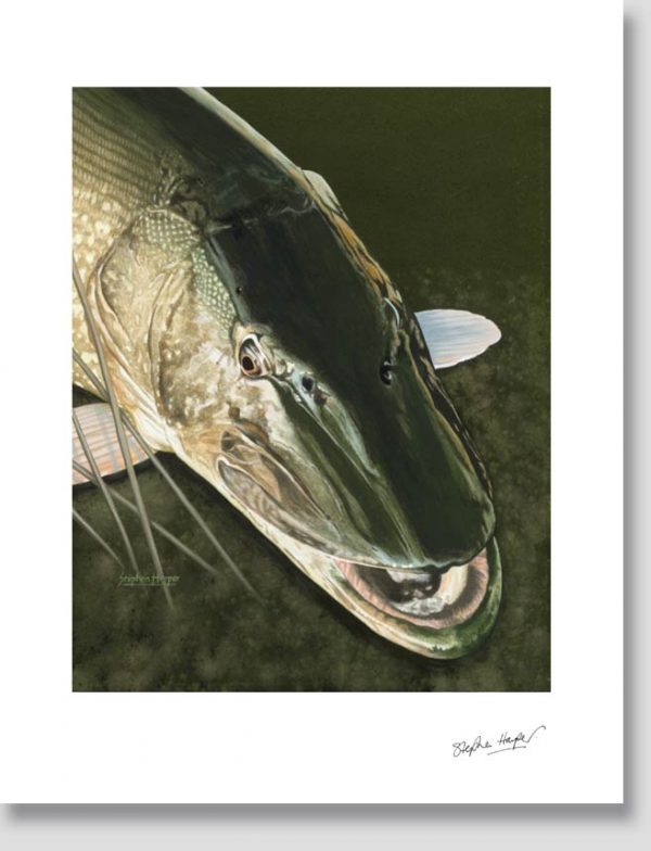 THE MONSTER PIKE Print
