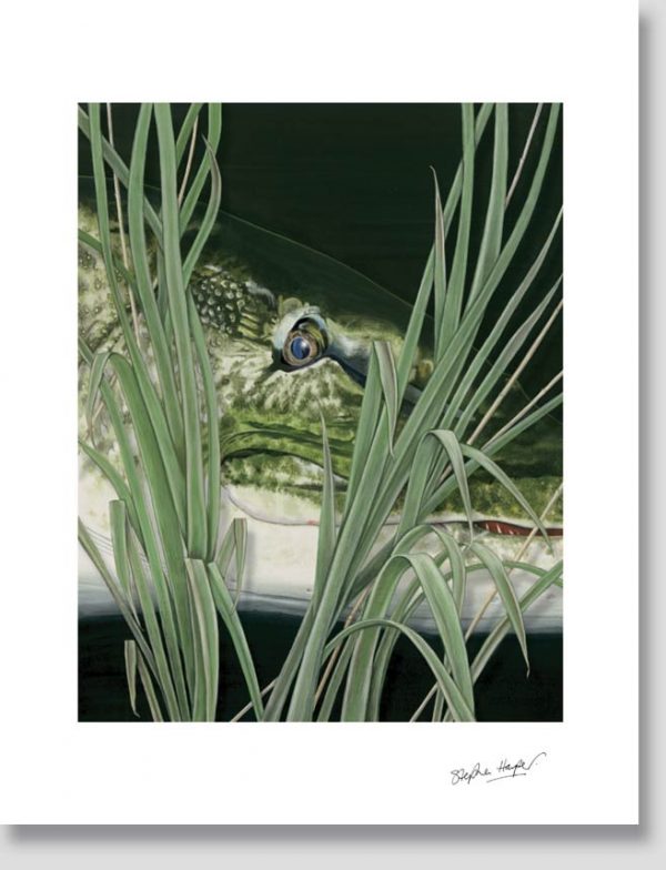 THE PIKE OF BROADLAND Print