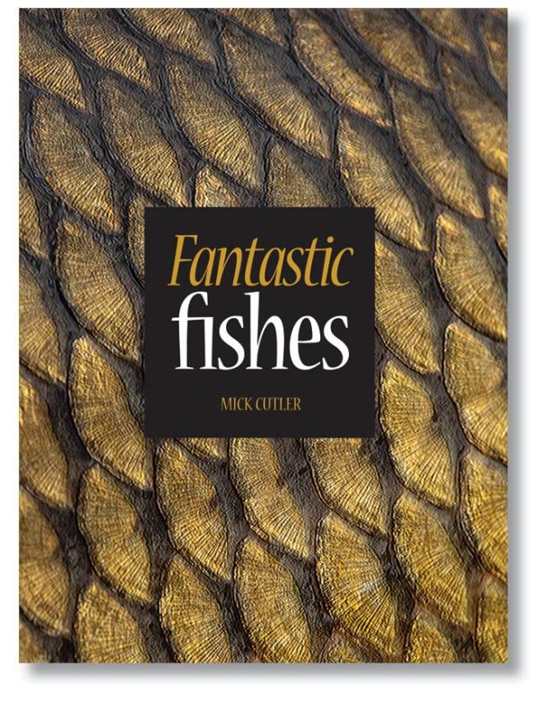 Fantastic Fishes hardback