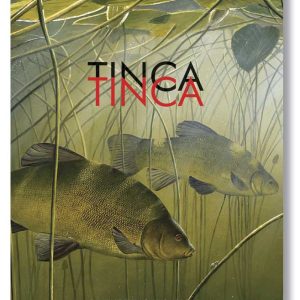 TINCA TINCA