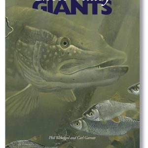 Chew Valley Giants