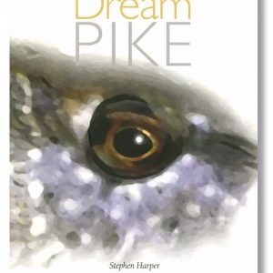 Dream Pike - First edition published 2010. Hard-back with dust jacket, Very good condition